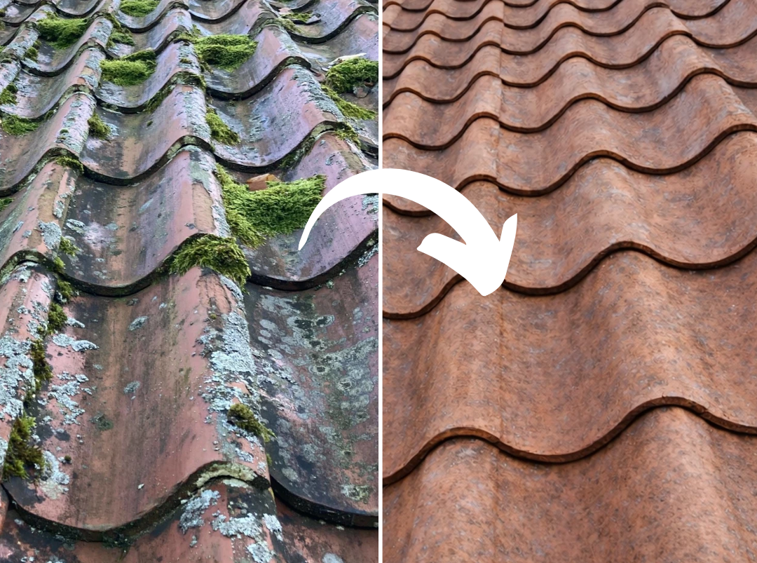 Mossborttagning – tegelpannor