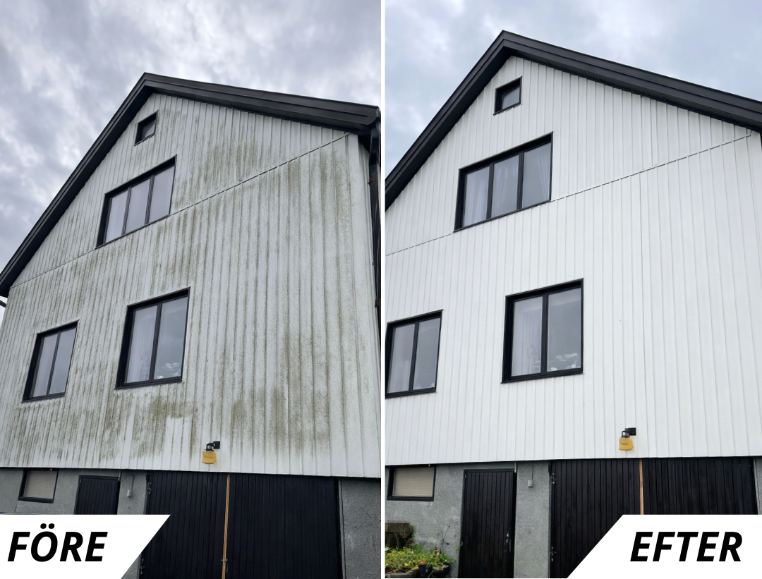Fasadtvätt radhus – grönt regn